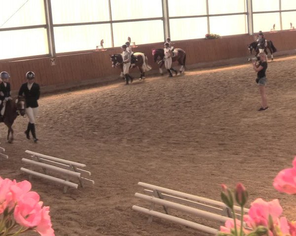 Reitturnier Herbern 2018