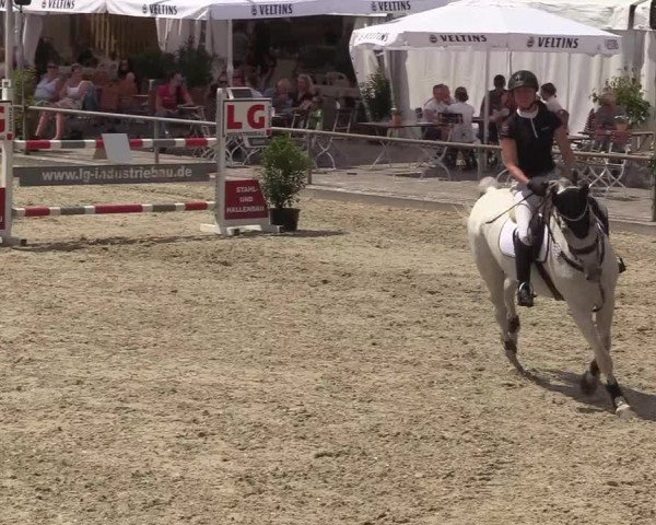 Reitturnier Wietmarschen 2018