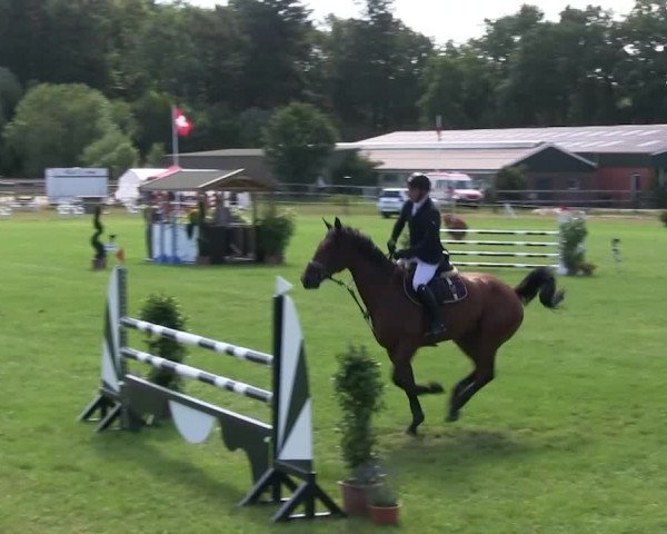 Reitturnier Hanerau-Hademarschen 2018
