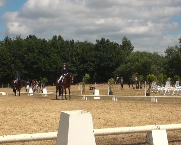 Reitturnier Wietmarschen 2018