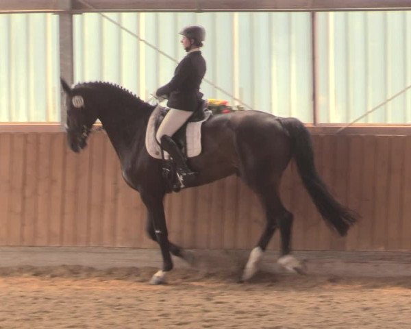 Reitturnier Herbern 2018