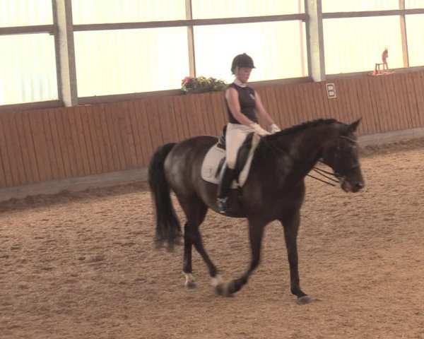 Reitturnier Herbern 2018