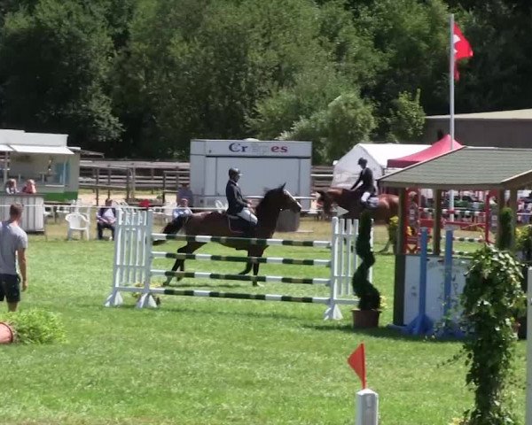 Reitturnier Hanerau-Hademarschen 2018