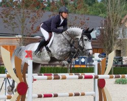 jumper Baltic Star 2 (Hanoverian, 2009, from Bacardi OLD)