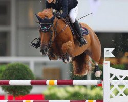 jumper Boucherom (KWPN (Royal Dutch Sporthorse), 2006, from Induparts Guidam Sohn)