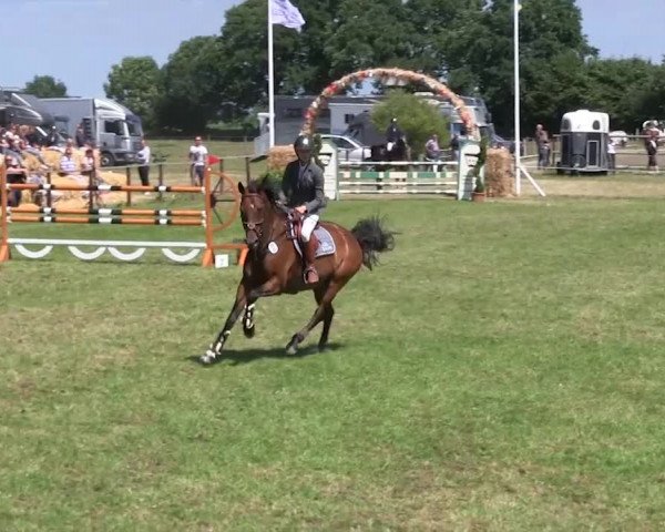 Reitturnier Hanerau-Hademarschen 2018