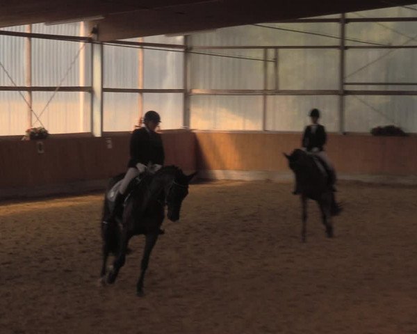 Reitturnier Herbern 2018
