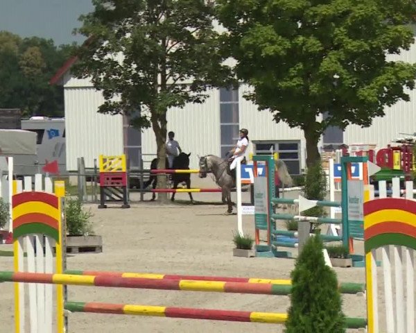 Hohenloher Reit Event 2018