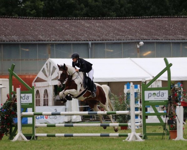 jumper Shakira 474 (unknown, 2009, from Samico F)