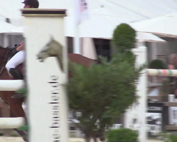 Reitturnier Münster-Handorf 2018