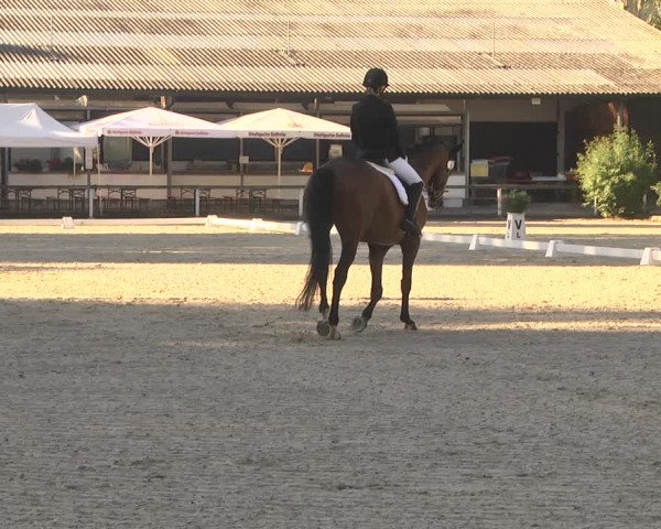 Reitturnier Waiblingen 2018