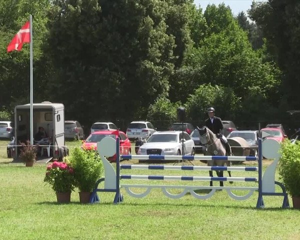 Reitturnier Hanerau-Hademarschen 2018