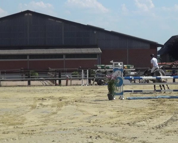 Kreisturnier auf dem Hilgershof 2018