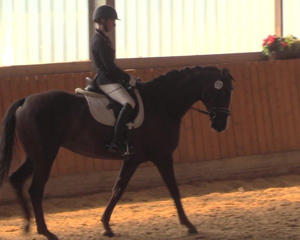 Reitturnier Herbern 2018