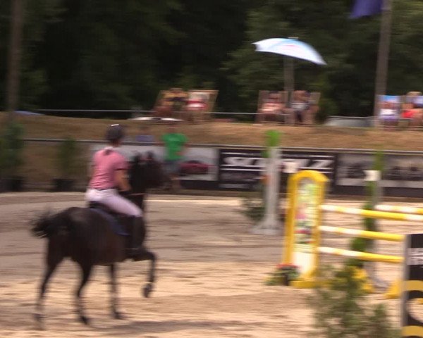 Görlitzer Springtage 2018