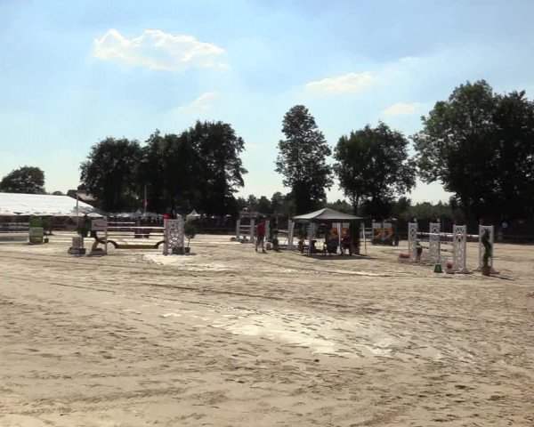 Reitturnier Münster-Handorf 2018