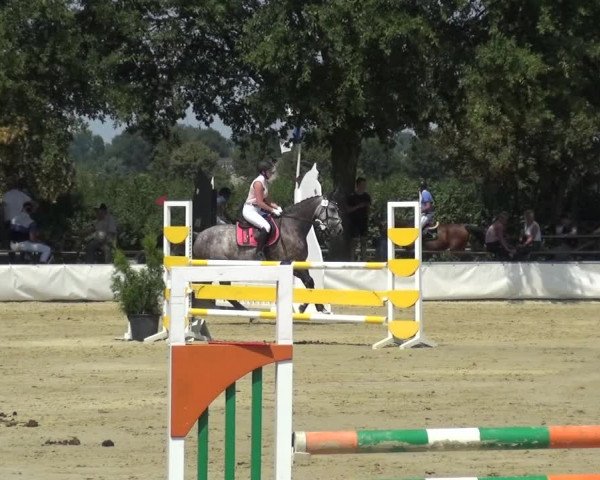 Kreisturnier auf dem Hilgershof 2018