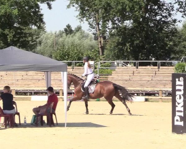 Westfalen-Woche 2018