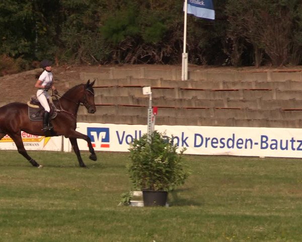 Reitturnier Baschütz bei Bautzen 2018