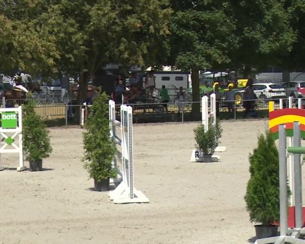 Hohenloher Reit Event 2018
