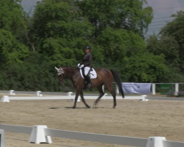 Reitturnier Baschütz bei Bautzen 2018