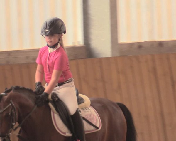 Reitturnier Herbern 2018