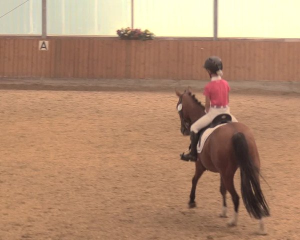Reitturnier Herbern 2018