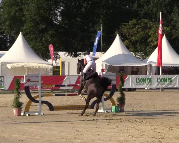Reitturnier Münster-Handorf 2018