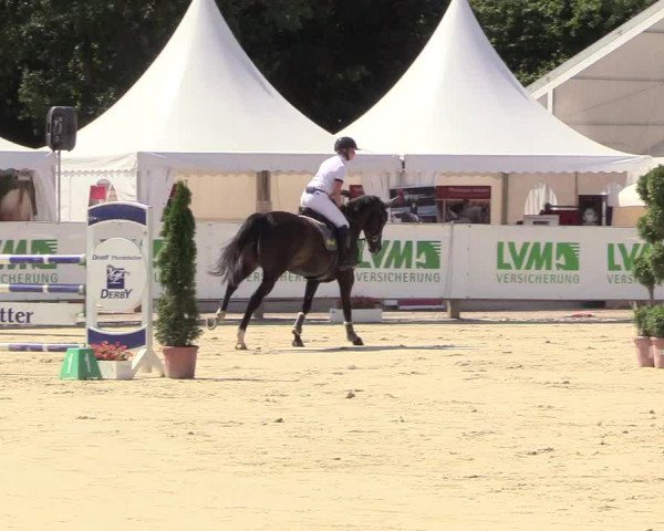 Reitturnier Münster-Handorf 2018