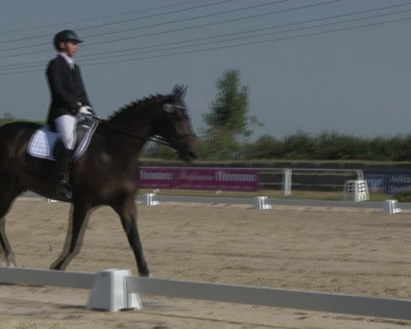 Reitturnier Baschütz bei Bautzen 2018