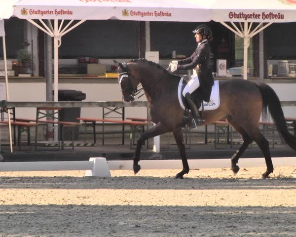 Reitturnier Waiblingen 2018