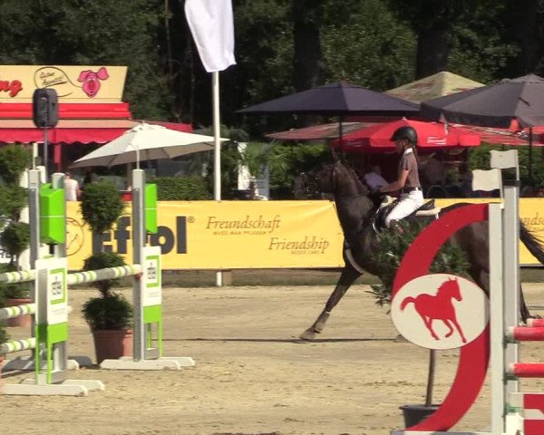 Reitturnier Münster-Handorf 2018