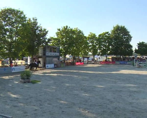 Hohenloher Reit Event 2018