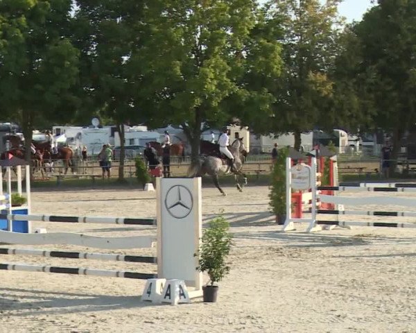 Hohenloher Reit Event 2018