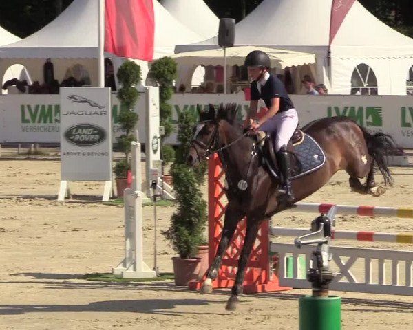 Reitturnier Münster-Handorf 2018