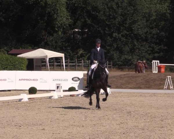 Reitturnier Münster-Handorf 2018