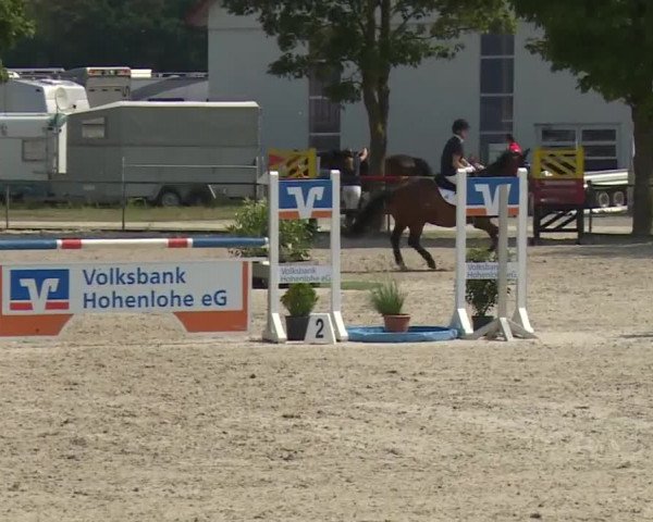 Hohenloher Reit Event 2018