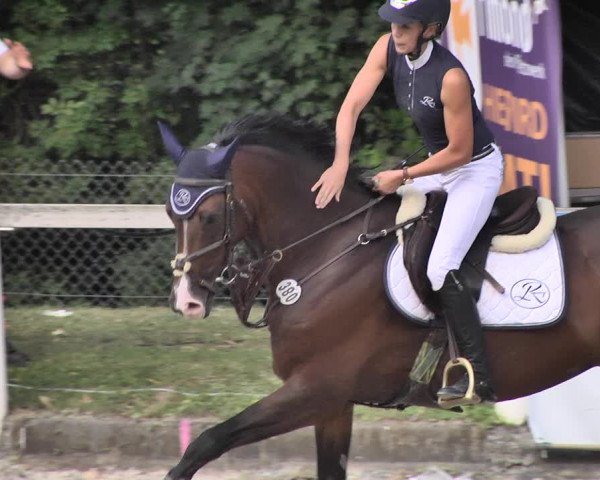 Reitturnier Waiblingen 2018