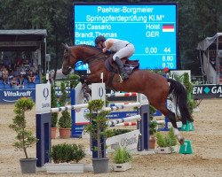 jumper Cassario (Holsteiner, 2012, from Cassin 2)