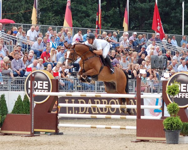 Springpferd Sir Gomez (Holsteiner, 2012, von Stanfour 4)