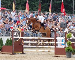 jumper Sir Gomez (Holsteiner, 2012, from Stanfour 4)