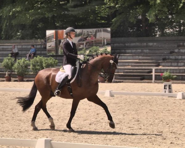 Reitturnier Waiblingen 2018