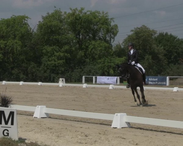 Reitturnier Baschütz bei Bautzen 2018
