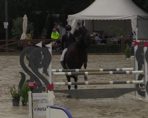 Equus Colonius - Reitanlage Brüse Köln 2021