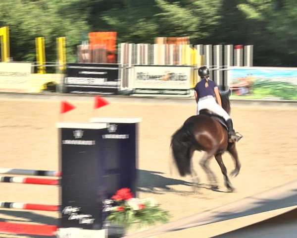 Summer Masters Maienfeld 2018