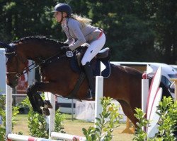 broodmare Madame Bellini (Hanoverian, 2013, from Monte Bellini)