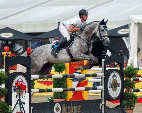 jumper Lovergon (Oldenburg show jumper, 2012, from Los Angeles)