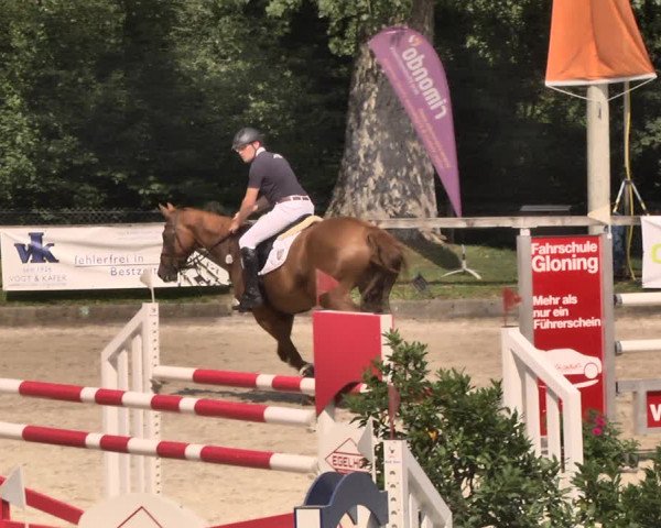 Reitturnier Waiblingen 2018