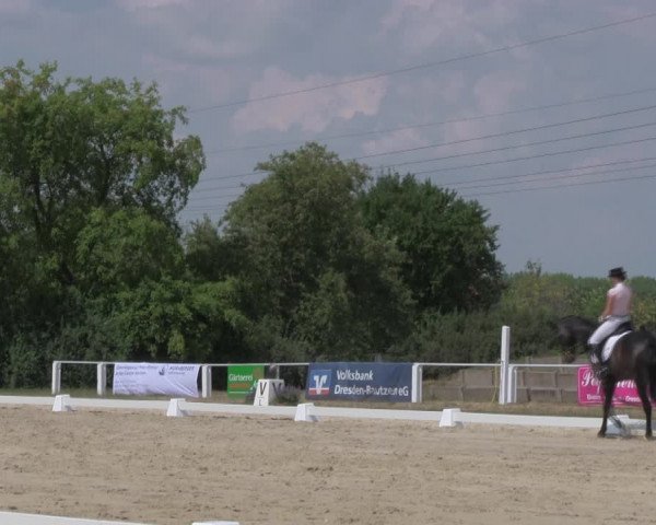 Reitturnier Baschütz bei Bautzen 2018