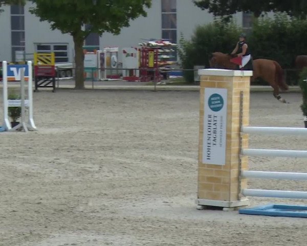 Hohenloher Reit Event 2018